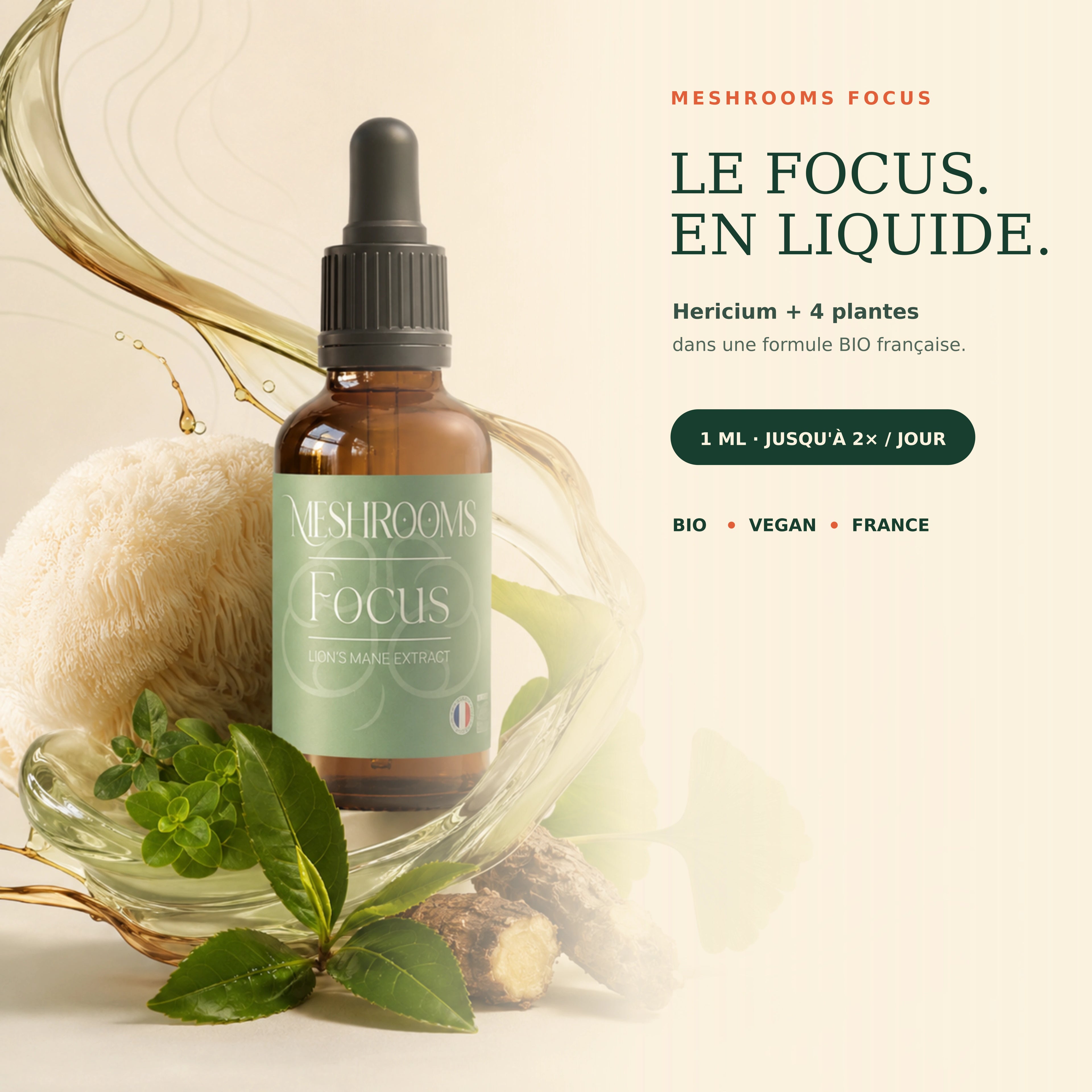 Focus sur les champignons (annuel)