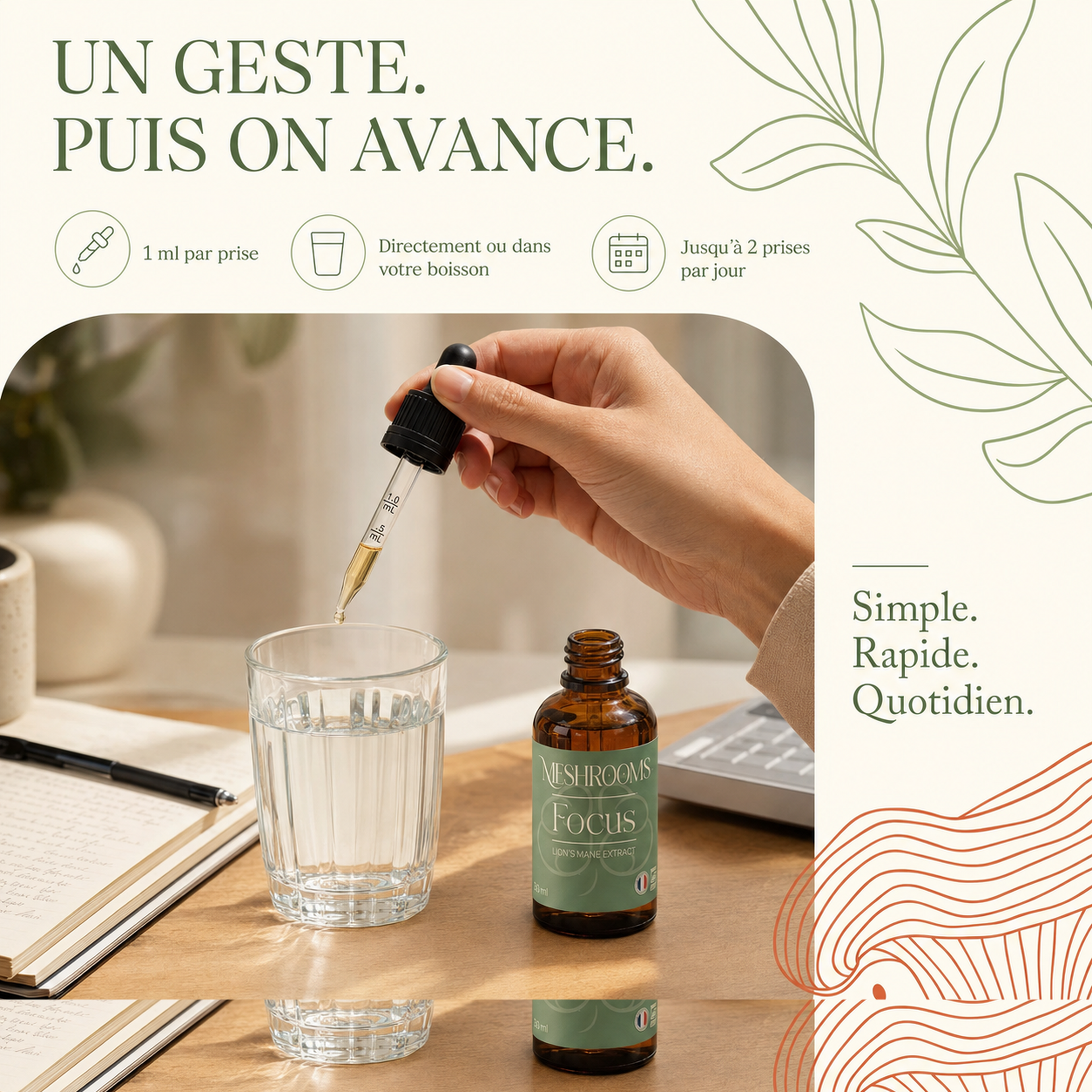 Focus sur les champignons (mensuel)