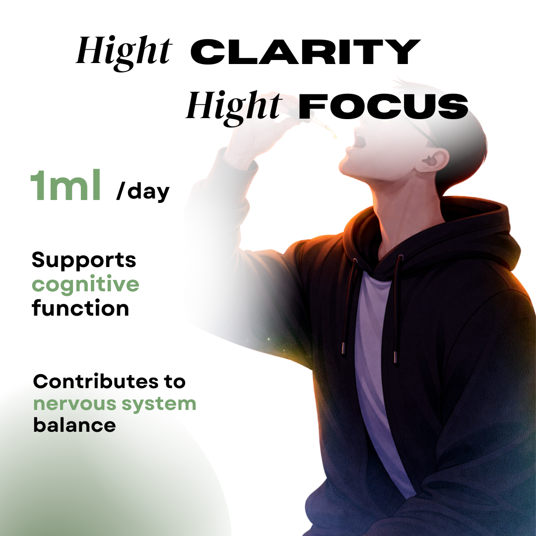 Champignons Focus