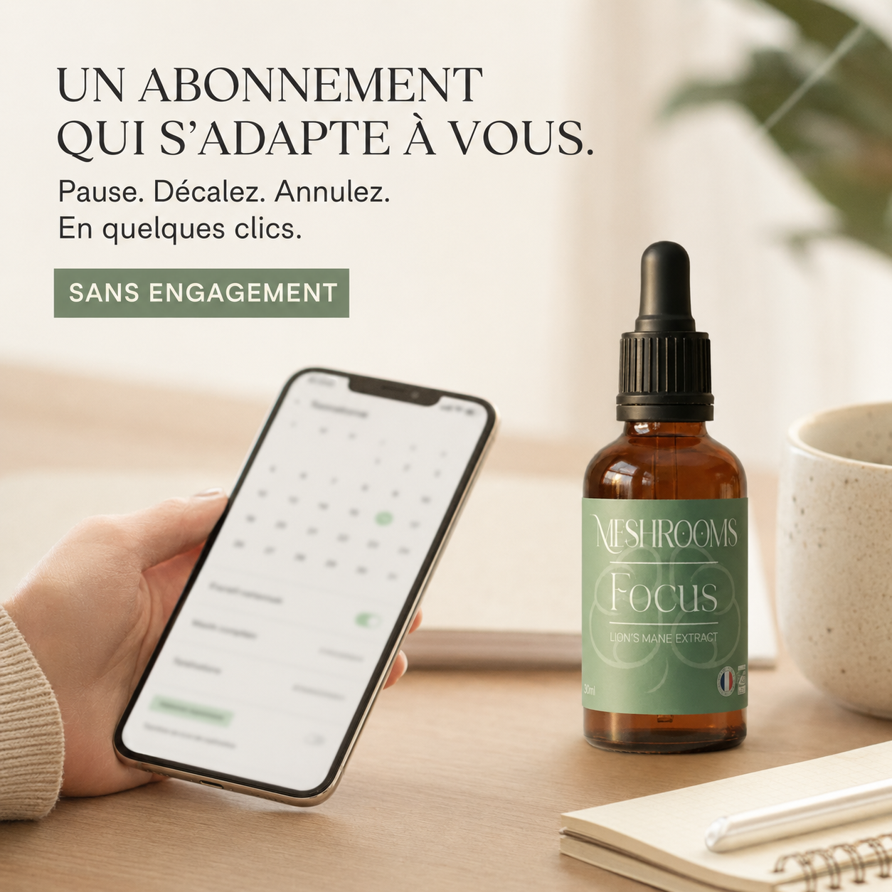 Focus sur les champignons (mensuel)
