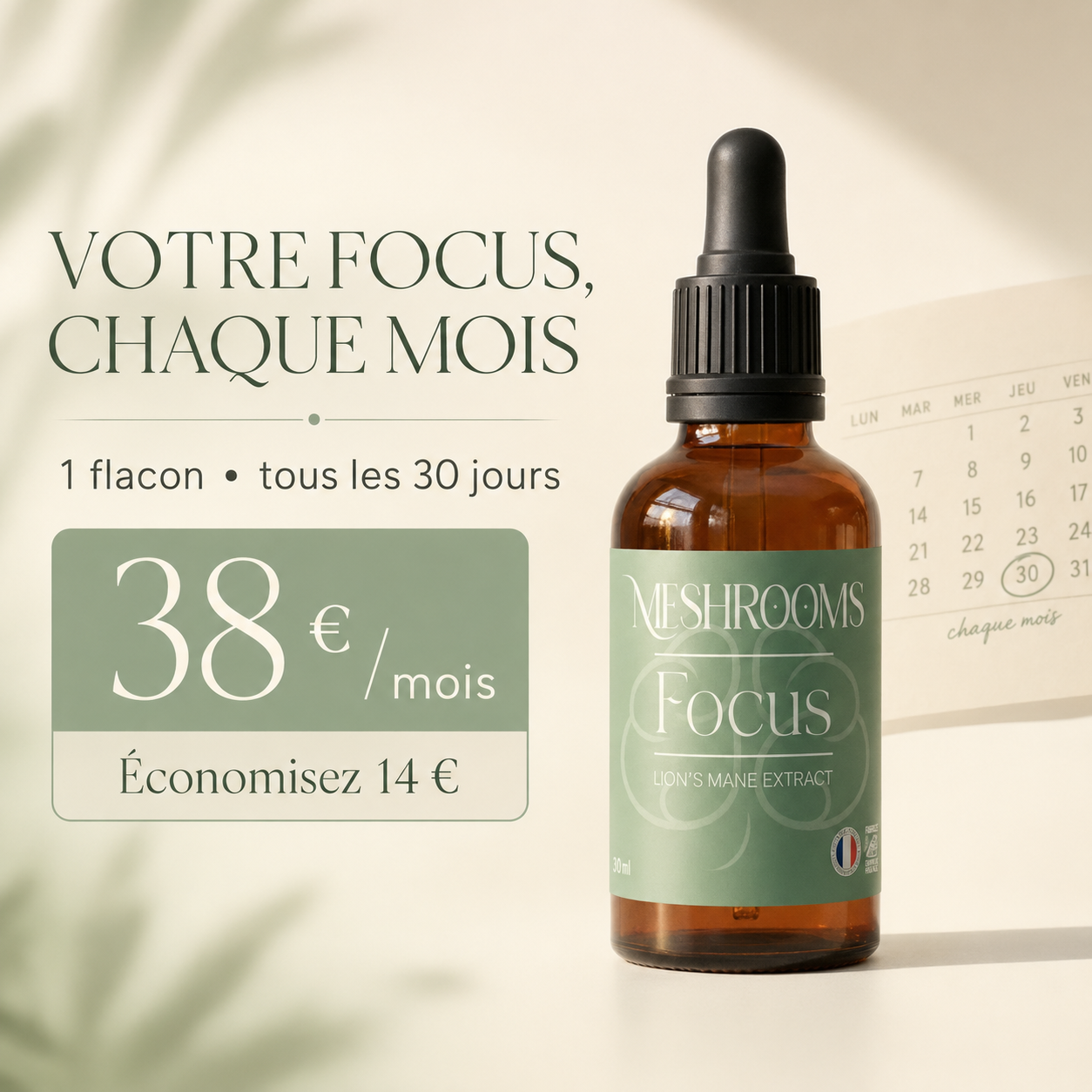 Focus sur les champignons (mensuel)