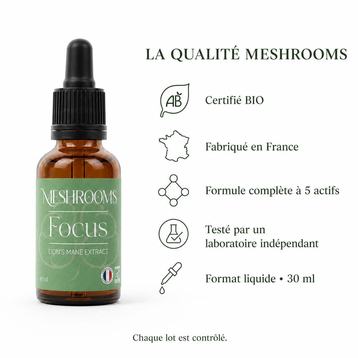 Champignons Focus