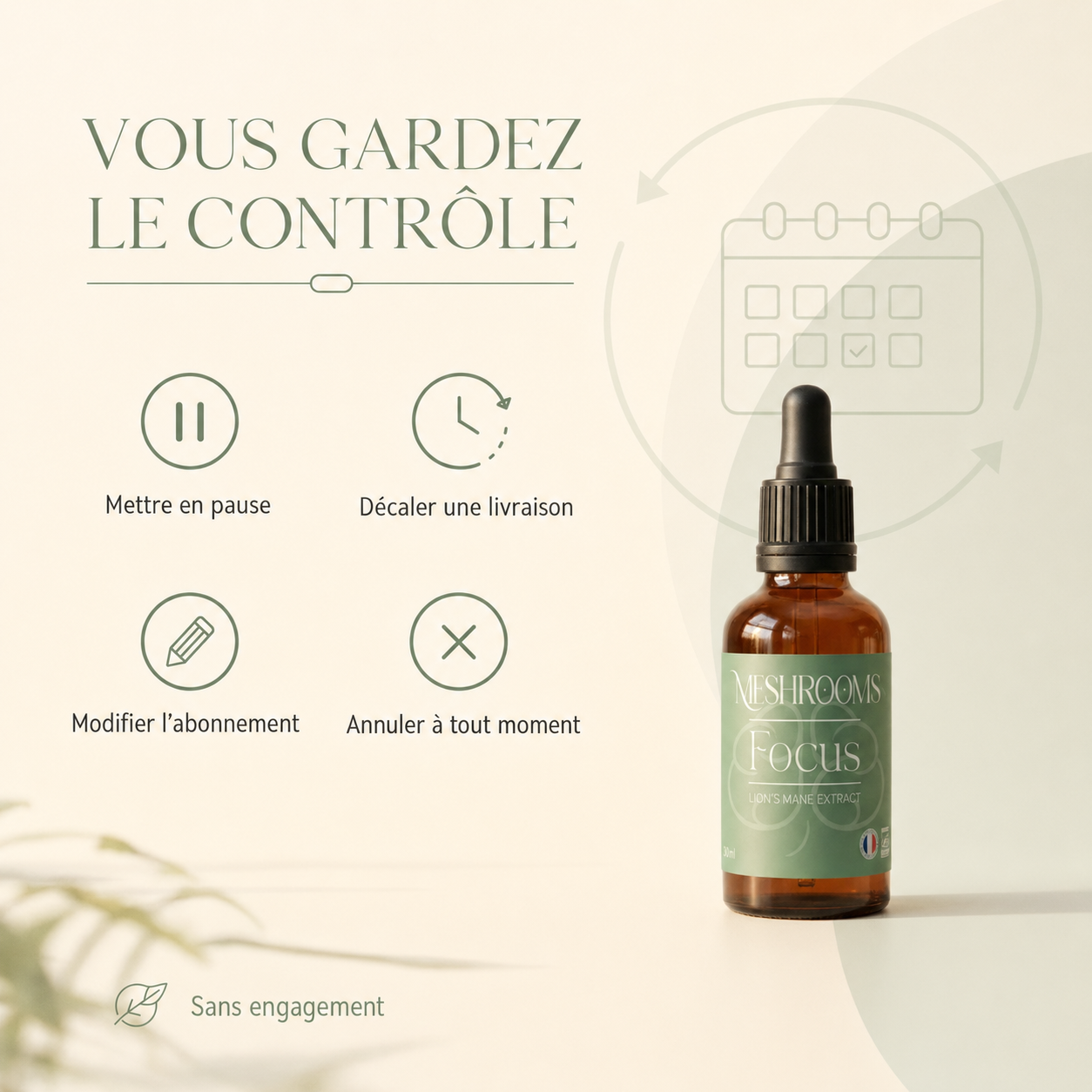 Focus sur les champignons (annuel)