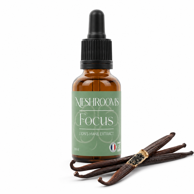 Champignons Focus
