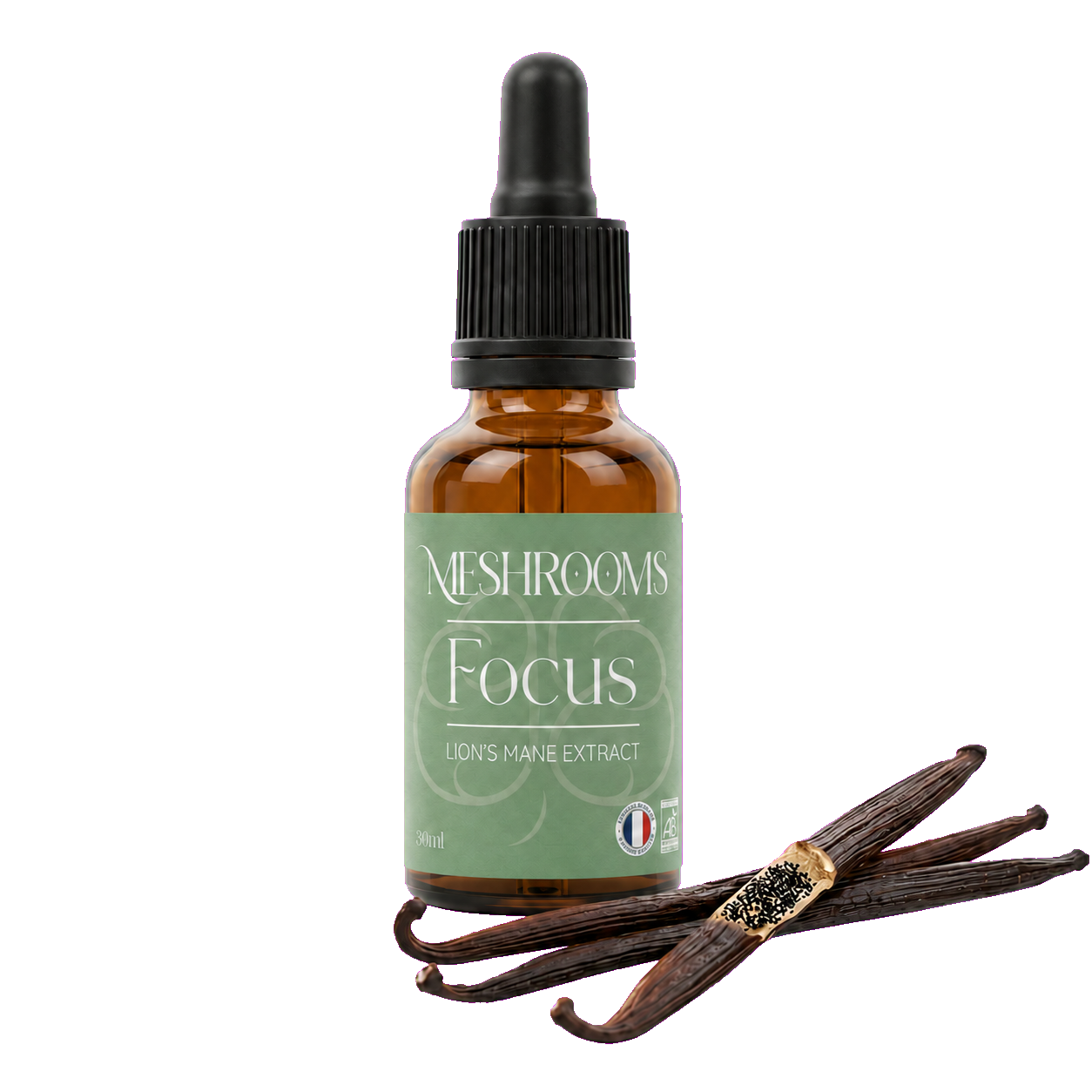 Champignons Focus