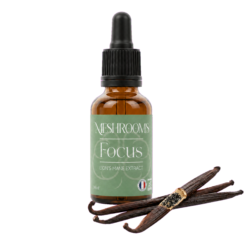 Champignons Focus