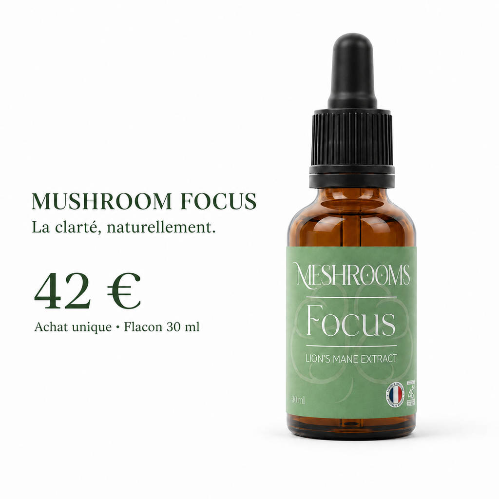 Champignons Focus